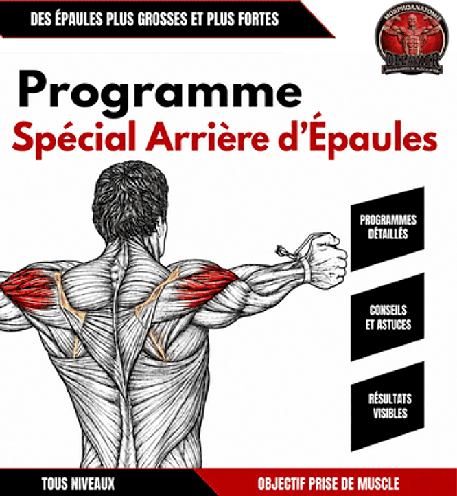 Programme spécial deltoïde postérieur