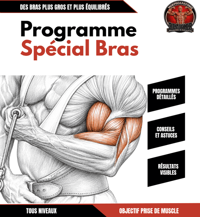 Programme spécial bras