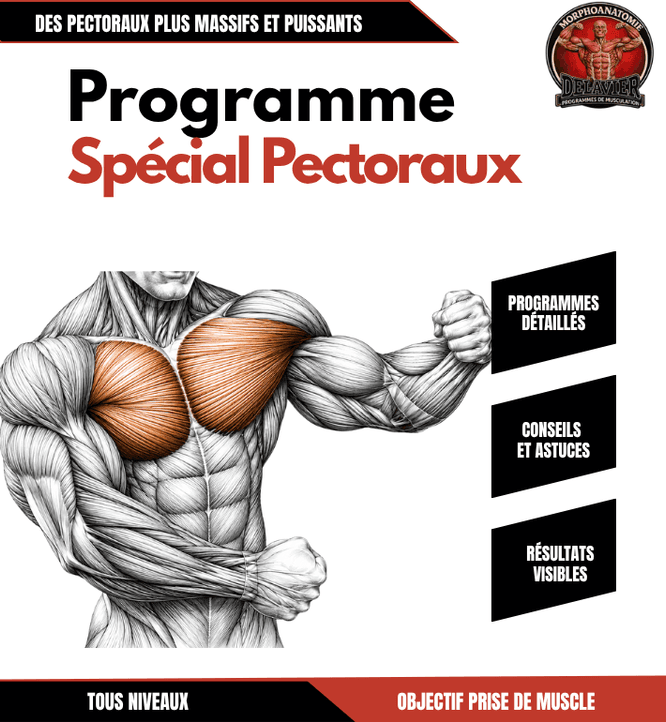 Programme spécial pectoraux